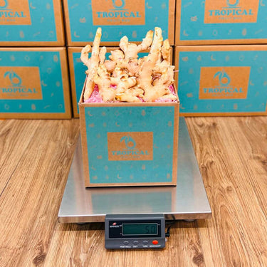Tropical Ginger Box Produce Box Tropical Fruit Box